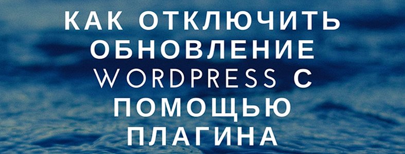 Как отключить обновление WordPress с помощью плагина