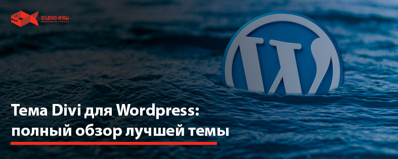 Divi WordPress: полный обзор лучшей темы