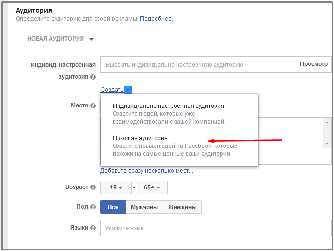 Реклама в Facebook, похожая аудитория