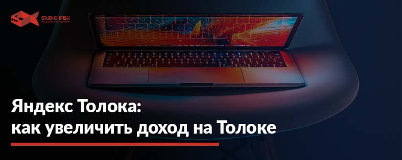 Яндекс Толока: что это такое и как заработать от 250$